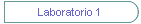Laboratorio 1